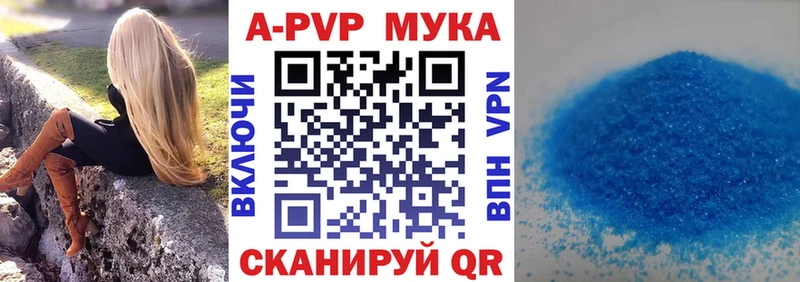 Alfa_PVP СК Плёс