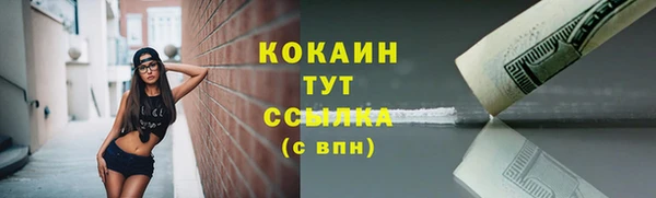 ПСИЛОЦИБИНОВЫЕ ГРИБЫ Белоозёрский