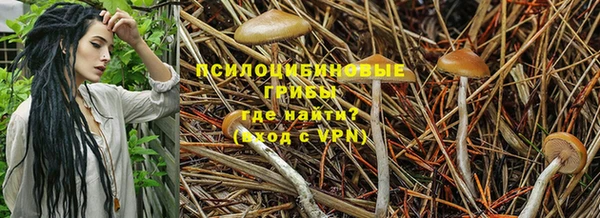 таблы Белокуриха